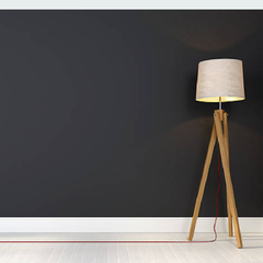 Standing Floor Lamps