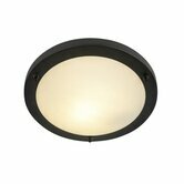 Flush mount ceiling fixture