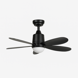 Ceiling Fans