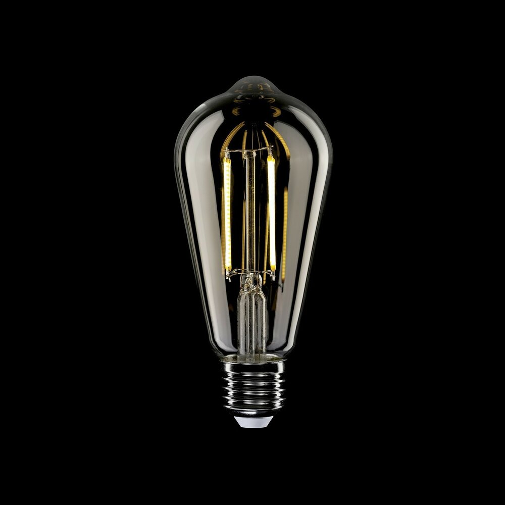 LED-lamp Helder Edison ST64 7W 806Lm E27 2700K Dimbaar &ndash; T02 donker