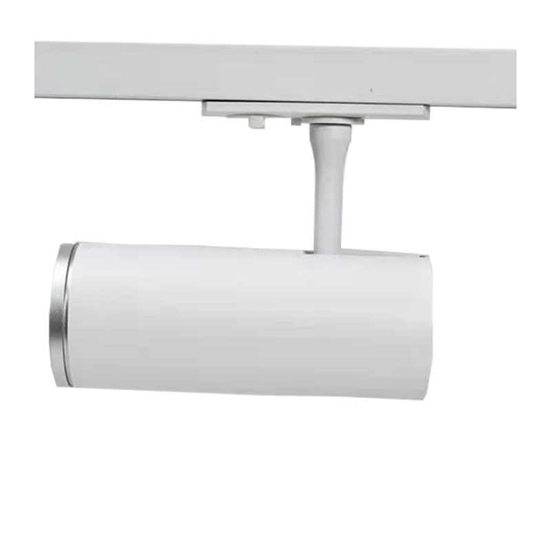 Zilveren ring | Voor 1-fase railspots | &Oslash;53 mm