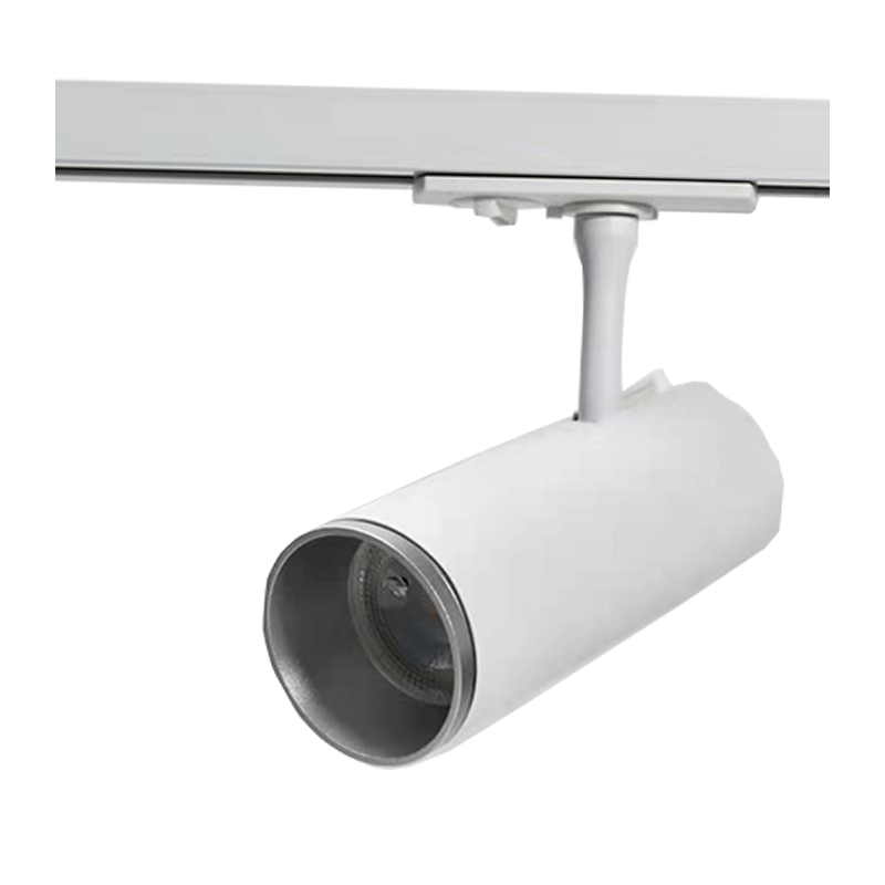 Zilveren ring | Voor 1-fase railspots | &Oslash;53 mm