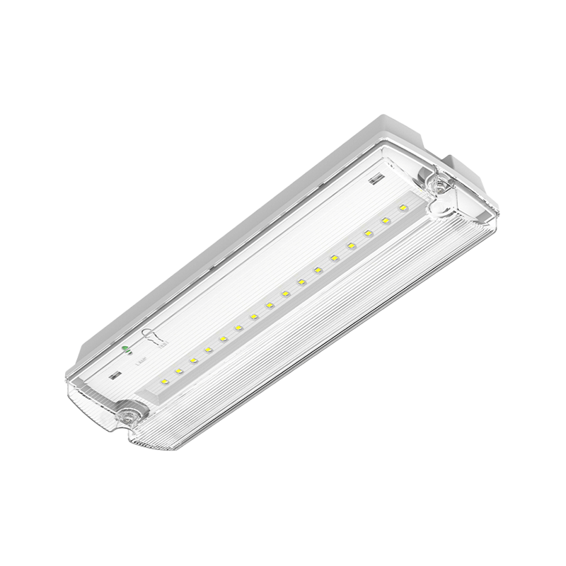 Noodverlichting wand-/plafondarmatuur wit 3W met pictogramme