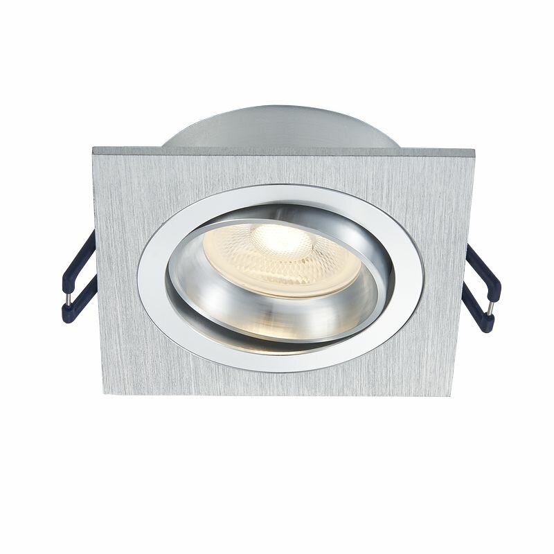 GU10 inbouwarmatuur zilver kantelbaar | Voor 50mm LED spots | IP22