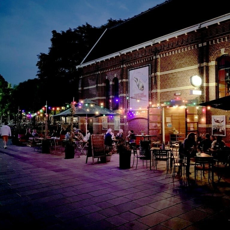 Prikkabel 10 meter met 30 fittingen en stekker | E27 | IP44