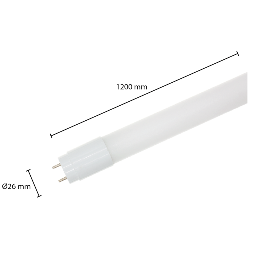 Led TL buis | T8 | 120CM | 6000K | Budget