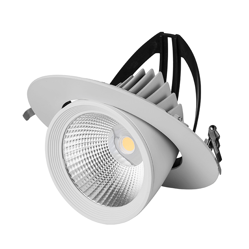 Led downlight kantelbaar | &Oslash;195 | 40W | 4000K
