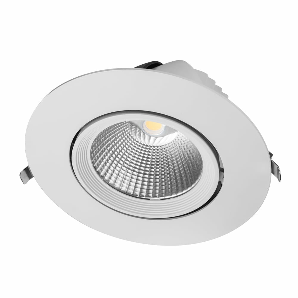 Led downlight kantelbaar | &Oslash;195 | 40W | 4000K
