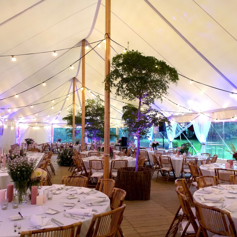 E27 LED Lampe | 0,7W | 2650K | LED auf langen St&auml;bchen | Geeignet f&uuml;r Festoonkabel