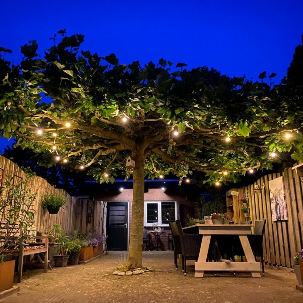 E27 LED Lampe | 0,7W | 2650K | LED auf langen St&auml;bchen | Geeignet f&uuml;r Festoonkabel