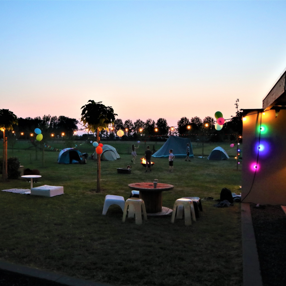 E27 farbige Lampe | 1W | Rosa | &Oslash;45 | Geeignet f&uuml;r Festoonkabel