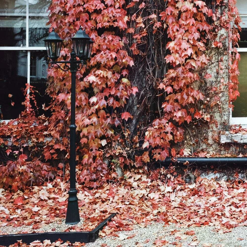 Laternenpfahl Ancona triple | Gr&uuml;n | 223cm