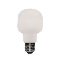 LED Porselein Gloeilamp Milo 6W E27 Dimbaar 2700K