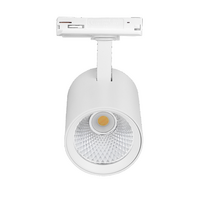 1-fase railspot 10W wit met instelbare lichtkleur (3000K-4000K-5700K)