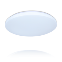 LED Plafondlamp Bestla 12W | RGB+CCT | Opbouw Rond