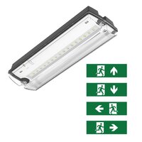 Noodverlichting wand-/plafondarmatuur zwart 3W met pictogrammen