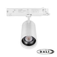 3-fase LED railspot | DALI | Zoomable &amp; Tunable White | Wit