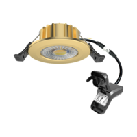 Dimbare LED inbouwspot 6W messing | Instelbare lichtkleur 2700K &ndash; 5700K | 600lm 38/60&deg; &Oslash;50-70mm IP65