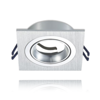 GU10 inbouwarmatuur zilver kantelbaar | Voor 50mm LED spots | IP22