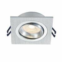 GU10 inbouwarmatuur zilver kantelbaar | Voor 50mm LED spots | IP22