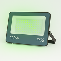 LED-Flutlicht Istos | 100W | Gr&uuml;n