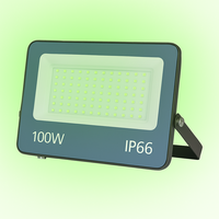 LED-Flutlicht Istos | 100W | Gr&uuml;n