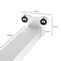 Dubbele led TL armatuur | IP22 | 120cm | Wit