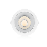 Led downlight Sia | &Oslash;195 | 20W | CCT-switch