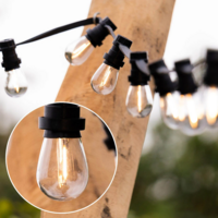 E27 Filamentlampe | 1W | 2700K | Gerades Filament | Geeignet f&uuml;r Festoonkabel