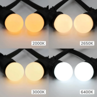 E27 LED Lampe | 2W | 2900K | Milchwei&szlig;e Abdeckung | &Oslash;45 | Geeignet f&uuml;r Festoonkabel