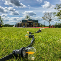 E27 dimmbare Filamentlampe | 3W | 2650K | Dreiecksfilament | Geeignet f&uuml;r Festoonkabel