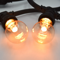 E27 dimmbare LED Lampe | 2W | 2000K | Mit Linse | &Oslash;60 | Geeignet f&uuml;r Festoonkabel