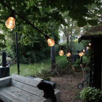 E27 dimmbare LED Lampe | 2W | 2650K | Mit Linse | &Oslash;60 | Geeignet f&uuml;r Festoonkabel