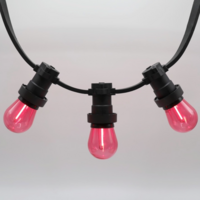 E27 farbige Lampe | 1W | Rot | Gerades Filament | Geeignet f&uuml;r Festoonkabel