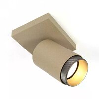 Scott 1 Aufbauleuchte | Champagner | GU10