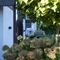 Wandleuchte Levi | Corten | GU10