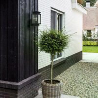 Wandleuchte Boston | Schwarz | Mit Sensor