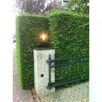 Sockelleuchte Capital 2 | Schwarz | 51cm