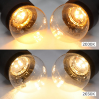 Prikkabel set 50 meter en 50 E27 ledlampen | 2650K warm wit | IP44 | Zwart
