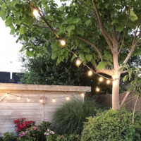 Prikkabel set 50 meter en 50 E27 ledlampen | 2650K warm wit | IP44 | Zwart