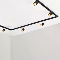 1-fase railspot Lexi | GU10 fitting | Zwart goud