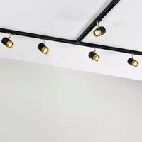 1-fase railspot Lexi | GU10 fitting | Zwart goud
