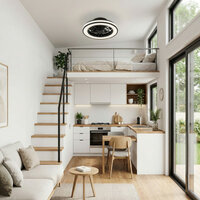 Ceiling light with fan black 38cm | Dimmable LED | With remote control