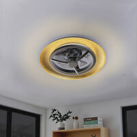 Ceiling light with fan black gold 55cm | Dimmable LED | With remote control