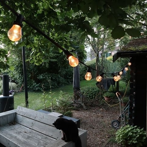 E27 dimmbare LED Lampe | 2W | 2000K | Mit Linse | &Oslash;60 | Geeignet f&uuml;r Festoonkabel