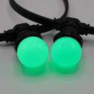 E27 farbige Lampe | 1W | Gr&uuml;n | &Oslash;45 | Geeignet f&uuml;r Festoonkabel