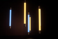 Waar Staat TL Voor? Waar Staat TL Voor?