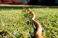 Welke grondkabel voor tuinverlichting? Snel uitgelegd